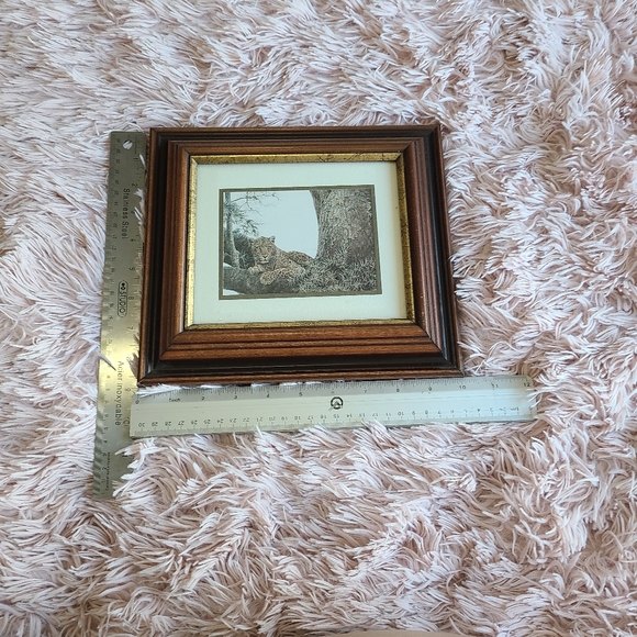 Robert Bateman Framed Print Leopard - Picture 7 of 7